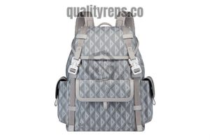 Dior Hit The Road Backpack Gray CD Diamond Canvas DB014 Quality Reps