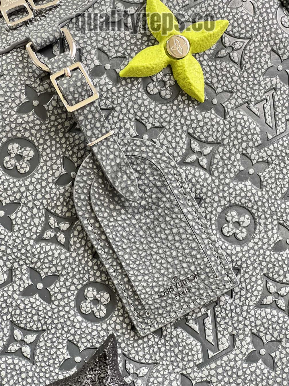 Ellipse Backpack Granite Embossed Cowhide Leather LB006 Quality Reps - Image 4